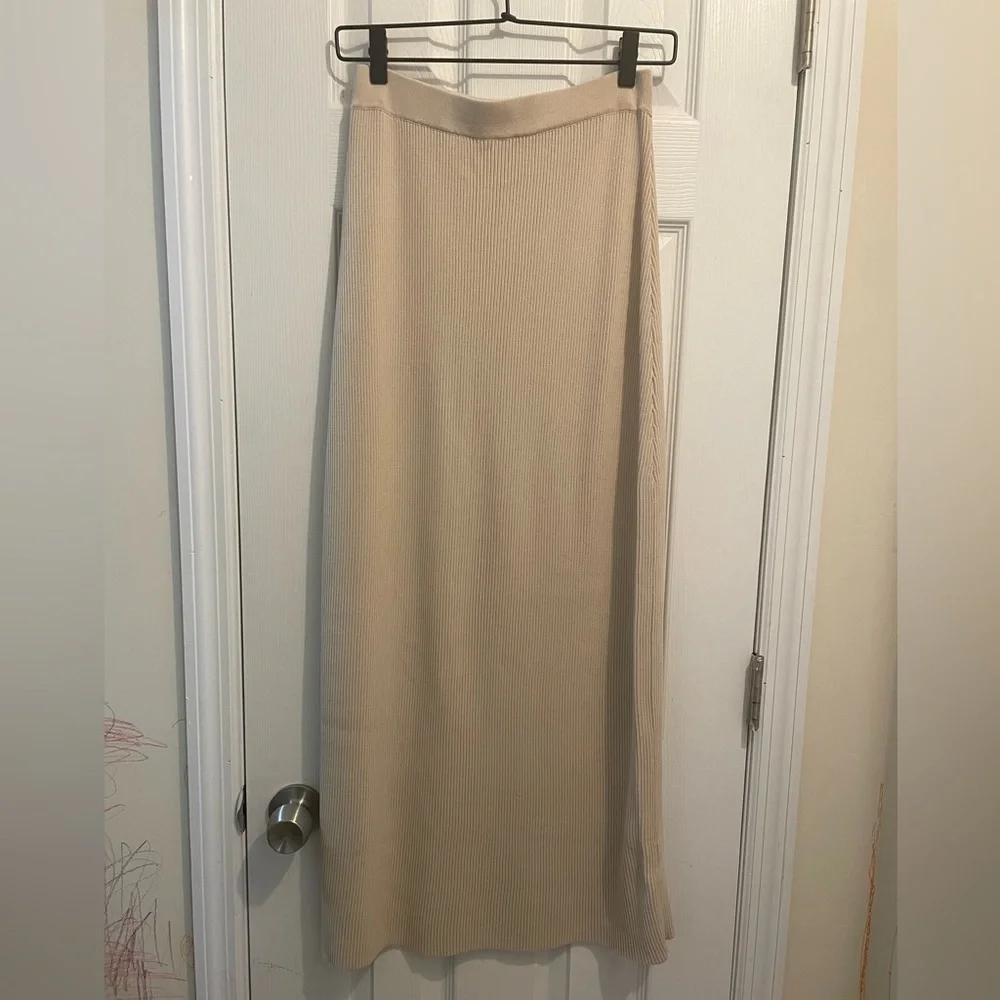 Dissh Elegant Tan Women's Skirt - Picture 3 of 5